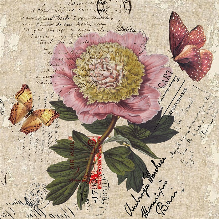 欧式蝴蝶花朵装饰画