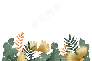 植物叶子免抠素材图片
