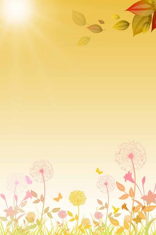 鲜花清新宣传促销背景