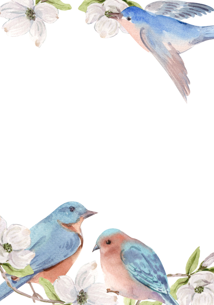 插画春鸟免抠素材