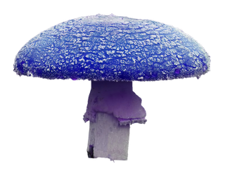 蓝蘑菇免抠图