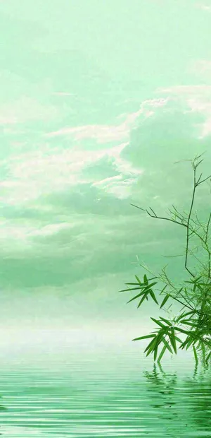 中国风绿色唯美已经云海河湖竹子，水面倒影