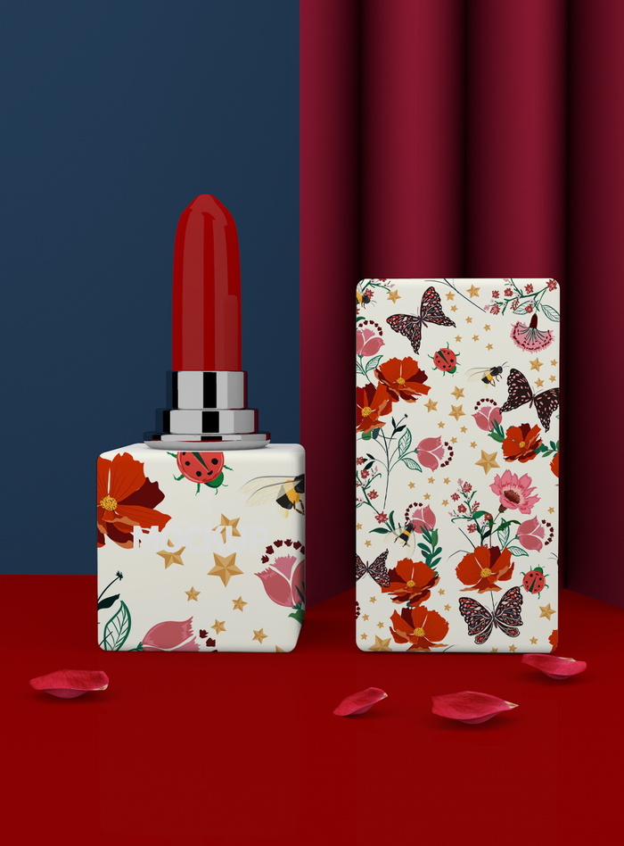 中国风国潮新春春节包装样机模板