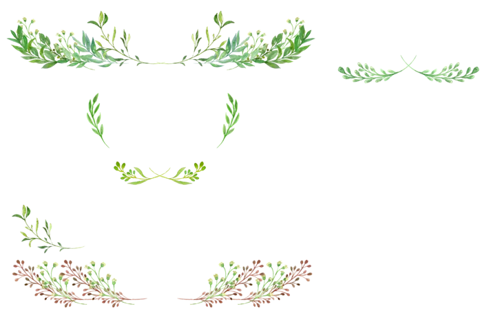 唯美森系手绘水彩花朵 免抠