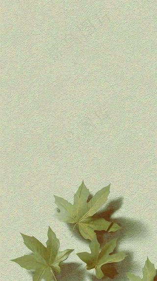 简约绿色叶子影子纹理