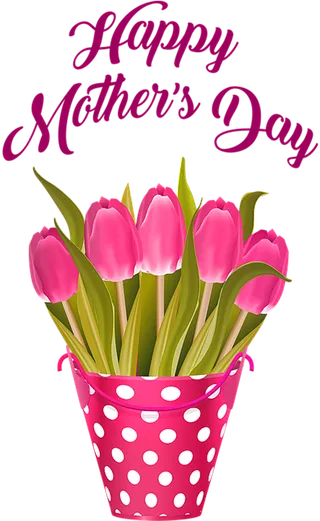 康乃馨花朵素材母亲节