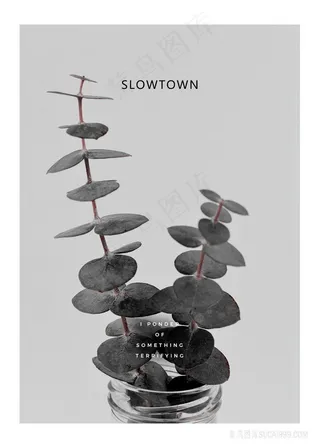 唯美黑白植物装饰画