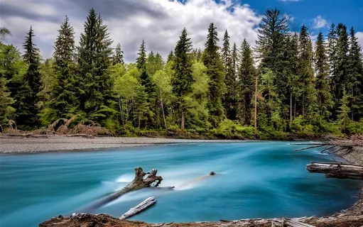 美国华盛顿城市与自然风景森林河流图片