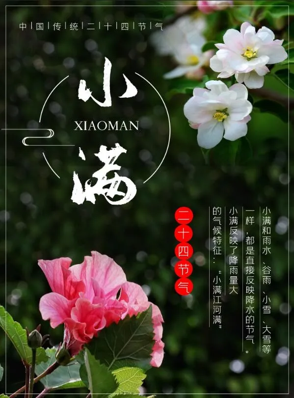 中国传统二十四节气之小满海报素材