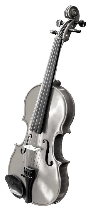 音乐会主形象(1)