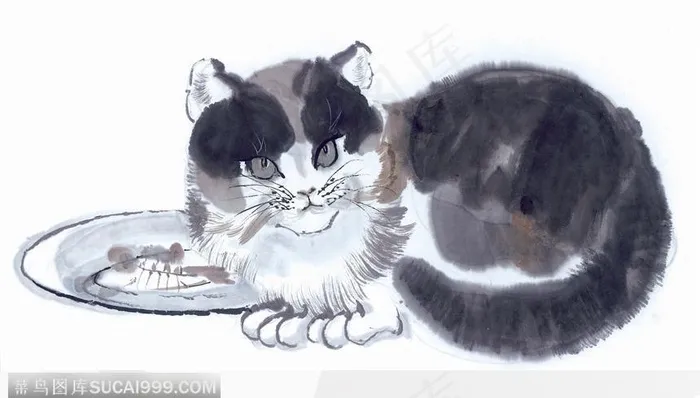 鱼旁的小猫