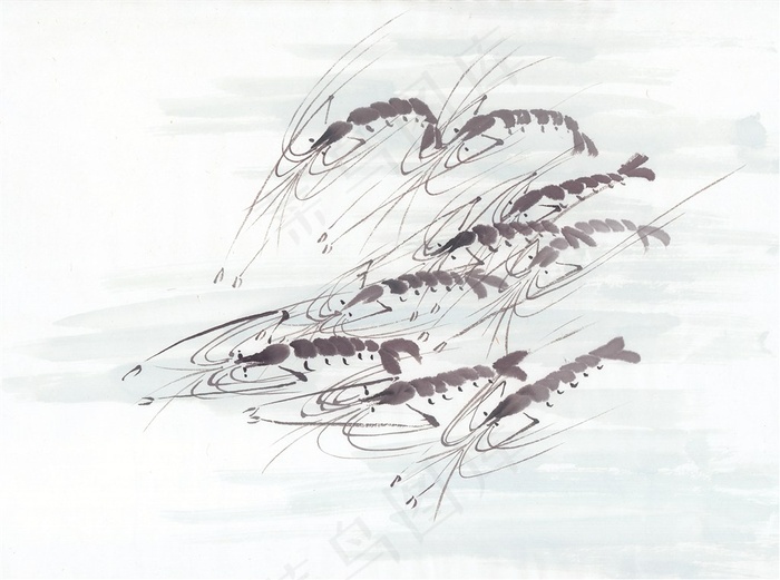 国画鱼虾蟹龟美图摄影图片