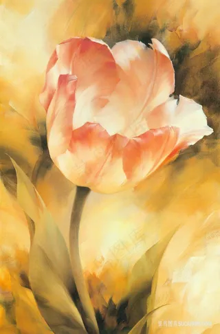 水彩百合花高清插画