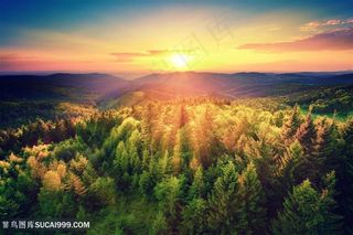 黄昏田野景色高清图片素材