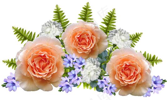 玫瑰花背景素材图片