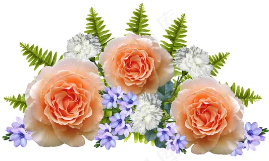 玫瑰花背景素材图片