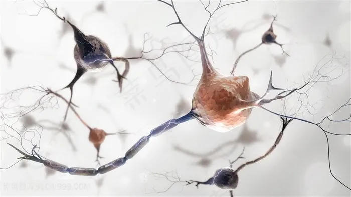 人体细胞细菌生物