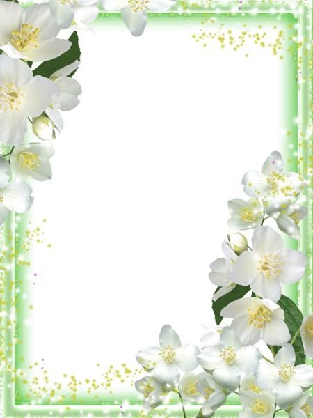 图片,相框PNG免抠(450x600)