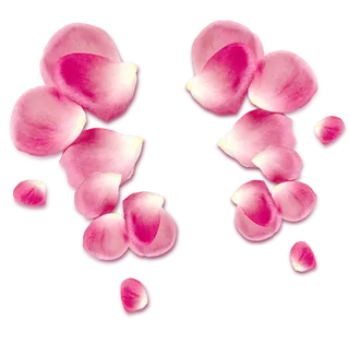 38妇女节三八女神女王粉色花朵玫瑰艺术字设计png免抠ps素材