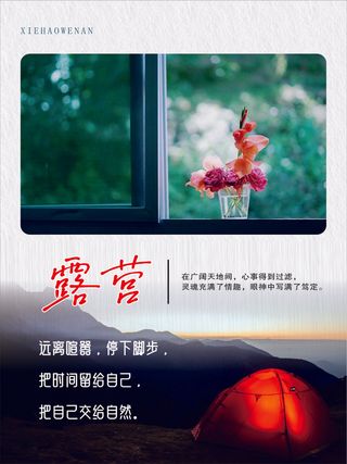 露营简约黑白色海报