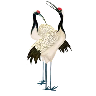 中国风古典中式国潮风手绘飞鹤图案仙鹤装饰素材PNG免抠插画元素