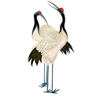 中国风古典中式国潮风手绘飞鹤图案仙鹤装饰素材PNG免抠插画元素