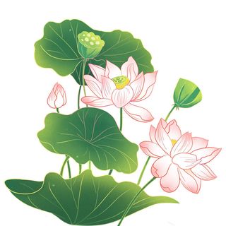 国潮中国风手绘荷花莲花荷叶莲藕植物花卉装饰插画PSD设计素材