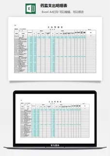 药监支出明细表excel模板