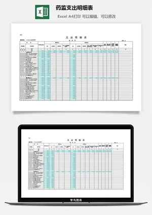 药监支出明细表excel模板预览图