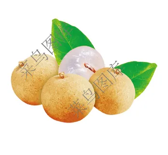 龙眼-桂圆高清图