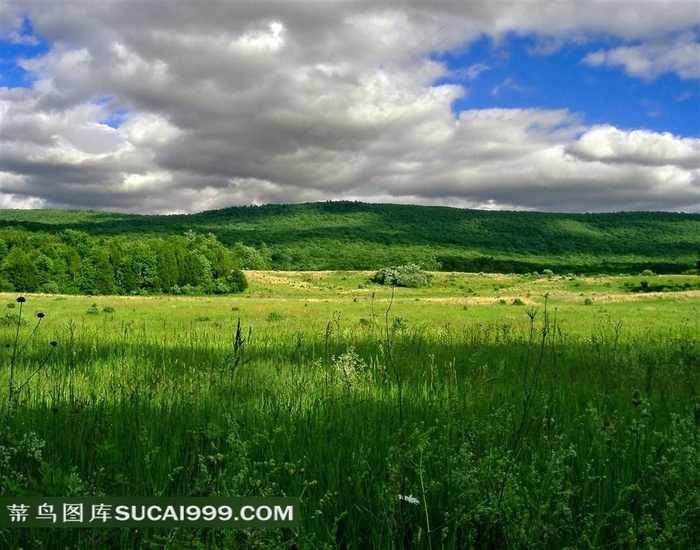 高清蓝天白云下的草原素材图片下载