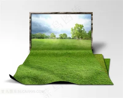 画框中伸出的草地