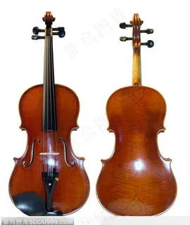 小提琴正反两面 高清图片