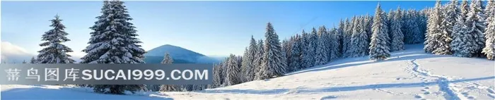冬季雪景高清图片