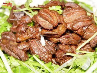 牛肉美食元素菜品