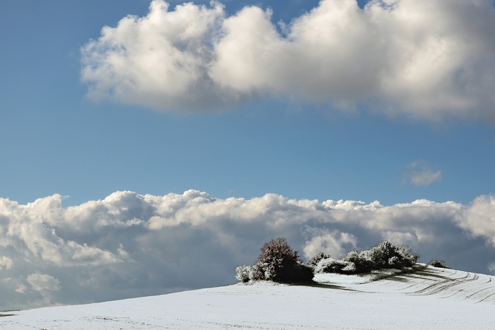 冬天白色背景风景