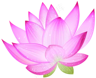 荷花素材 免抠 荷花 复古 中国风 莲花 荷叶 花朵