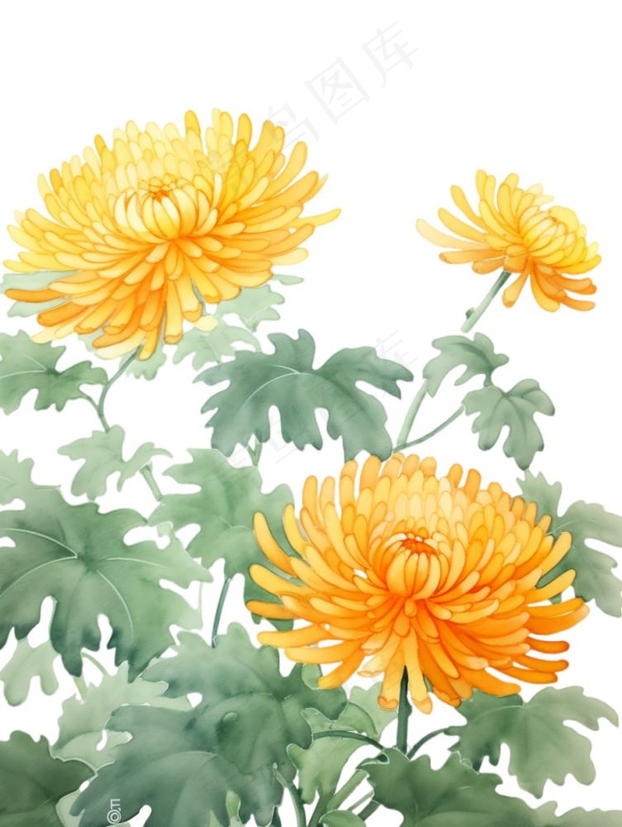 黄色菊花水墨画茶壶重阳节元素免抠(928x1232)