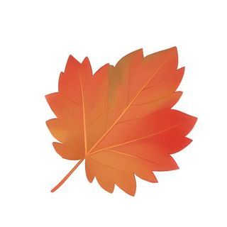 叶子树叶枫叶免抠