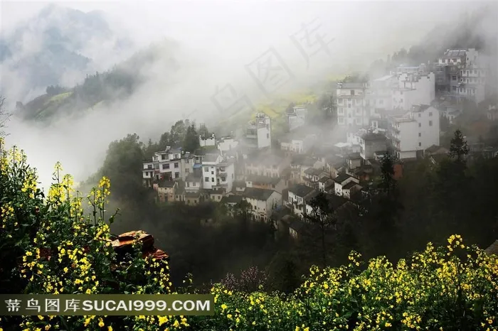 安徽石潭油菜花风景图片