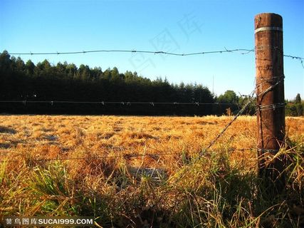 平原-秋季铁丝栅栏内的枯草地