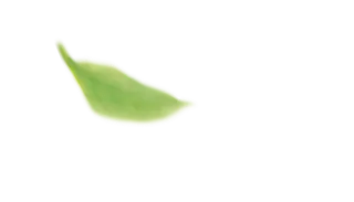 嫩果绿色树叶搭配透明素材