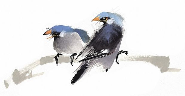 鸟禽国画图片摄影图片