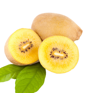 48黄心猕猴桃 (3)水果超市商品白底图免抠实物摄影png格式图片透明底