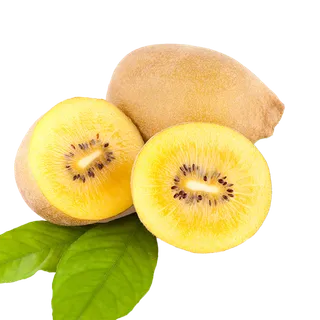 48黄心猕猴桃 (3)水果超市商品白底图免抠实物摄影png格式图片透明底