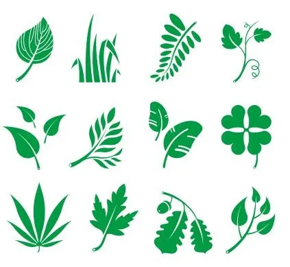 矢量树叶大全cdr矢量模版下载