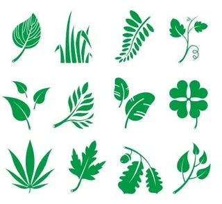 矢量树叶大全
