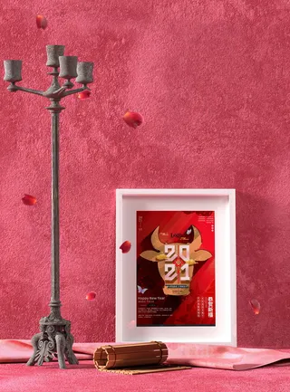 中国风国潮新春春节包装样机模板