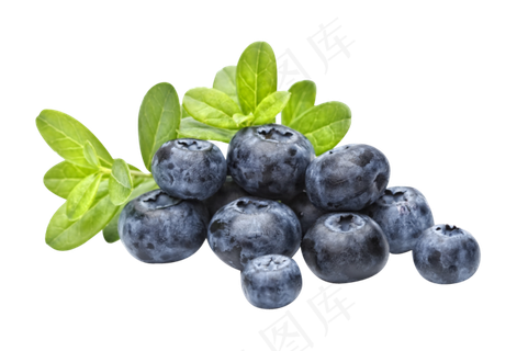 水果鲜水果蓝莓免抠素材
