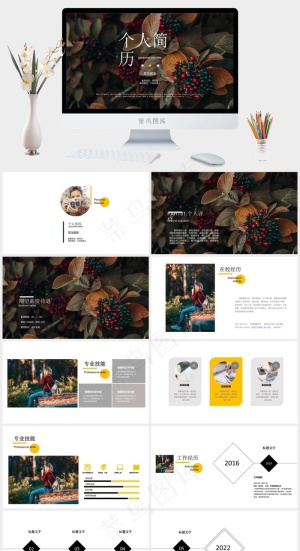 求职简历作品集圣诞简约通用简历预览图